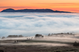 爆料！某国选手遭对手研究透彻，赛前分析竟暴露致命弱点！